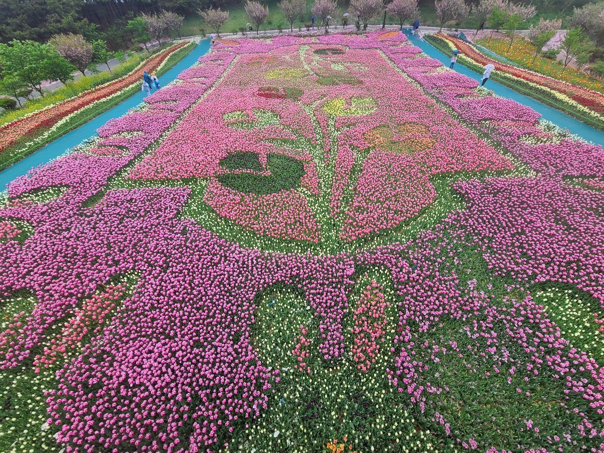 태안 세계 튤립꽃박람회 정원