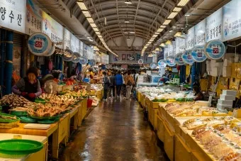 제주 동문시장 야시장 먹거리 투어 코스 안내_10