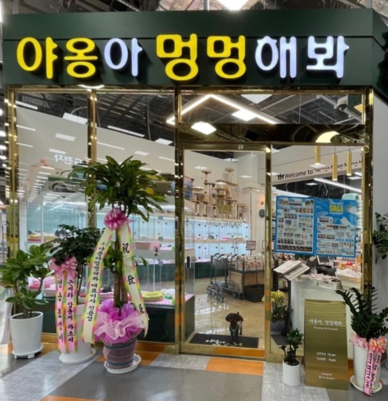 2층 멍멍아 야옹해봐 입구 사진