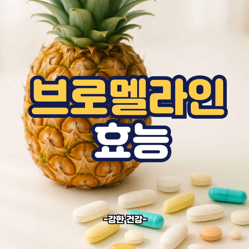 브로멜라인 효능