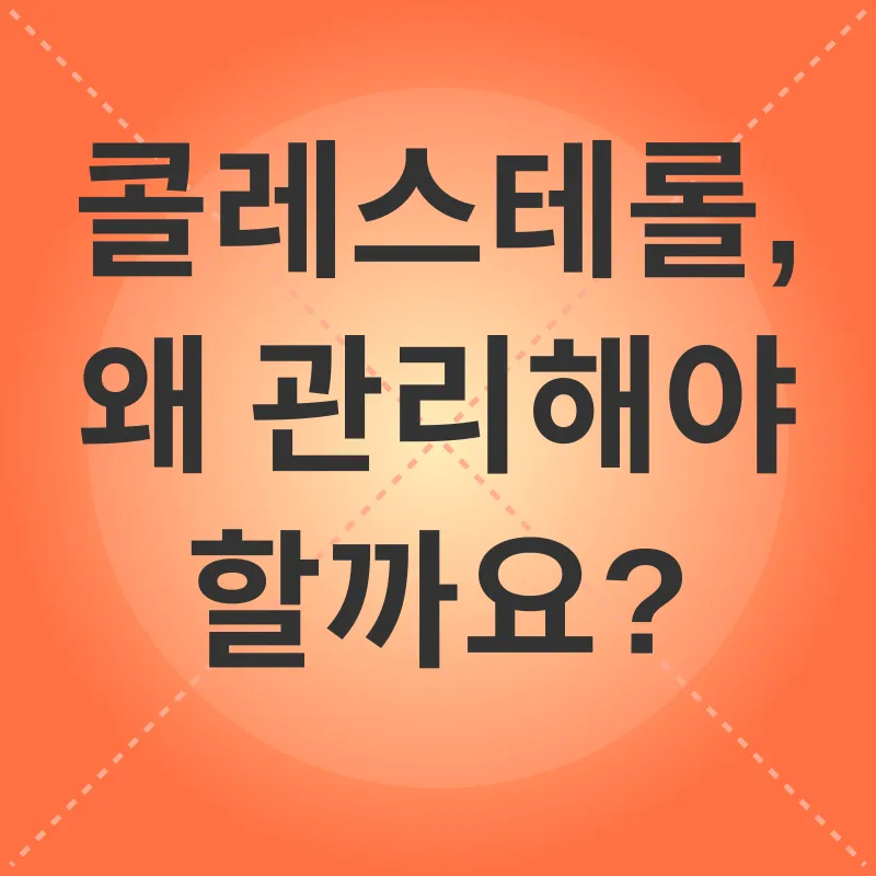 콜레스테롤 관리_1