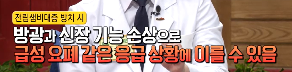 전립선 비대증에 좋은 사군자