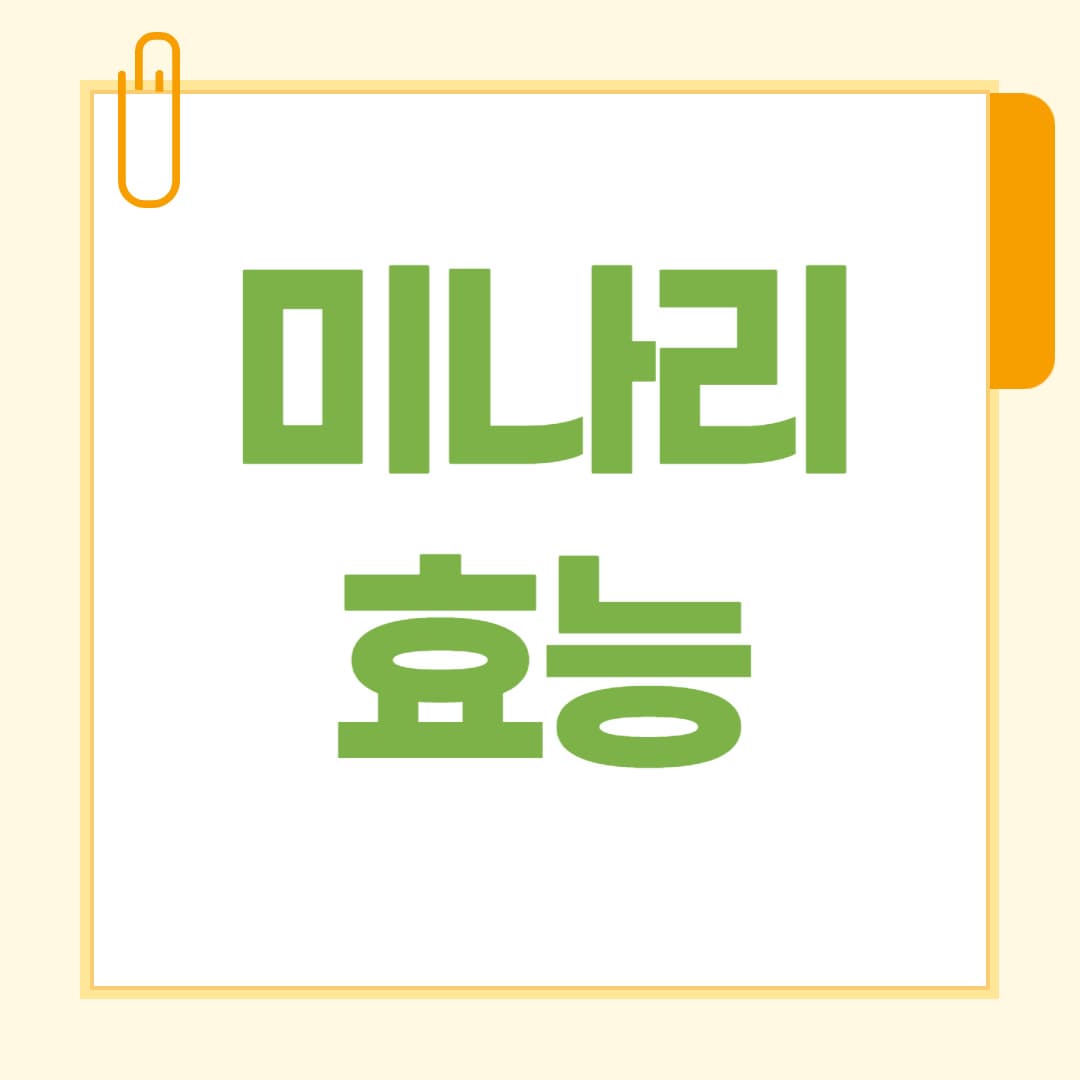 미나리 효능 봄철 몸속 정화에 좋은 제철 채소 이야기