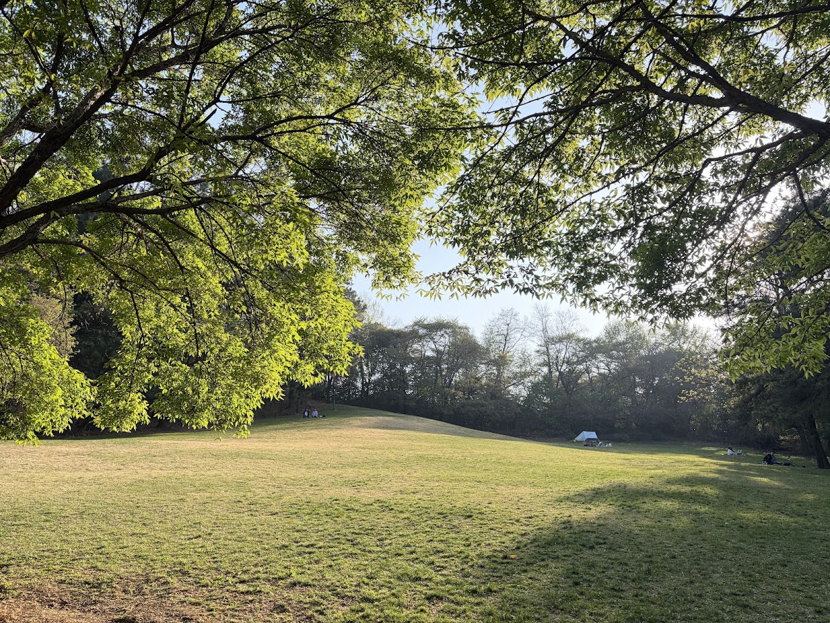 추억의 어린이대공원