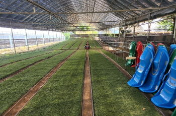 율봄식물원 레일썰매장