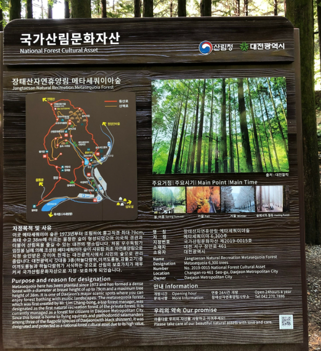 장태산 자연휴양림의 매력