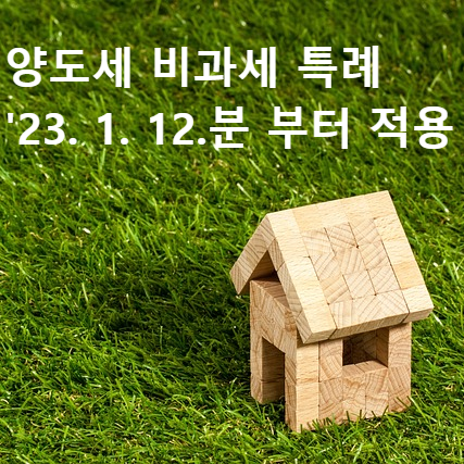 양도세 비과세 특례