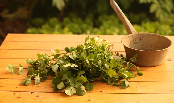 원시 부족 사회에서의 상처 치료 및 수술 기술