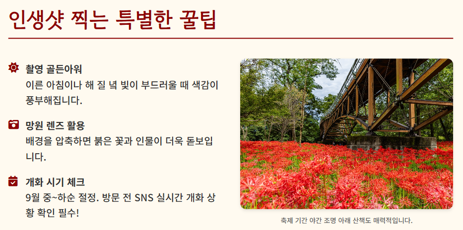 당일치기 여행 추천