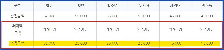 기후동행카드 3만원