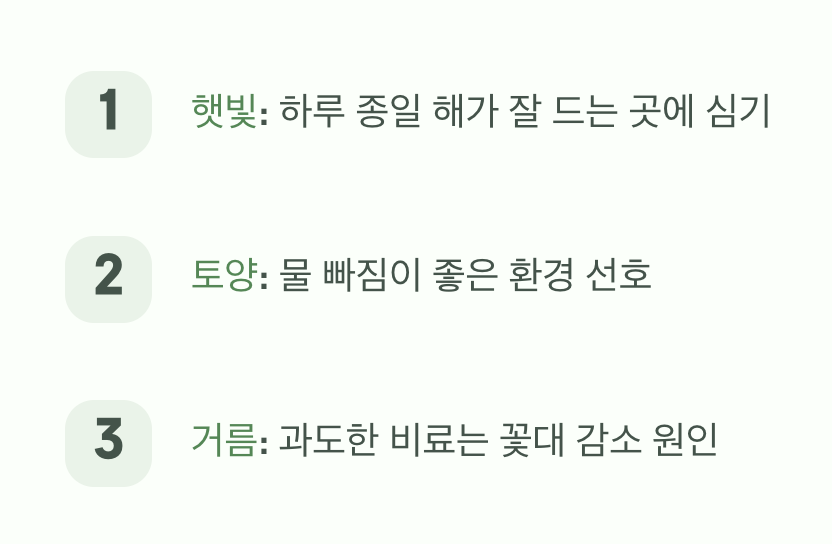 안개를 더 풍성하게 피우려면?