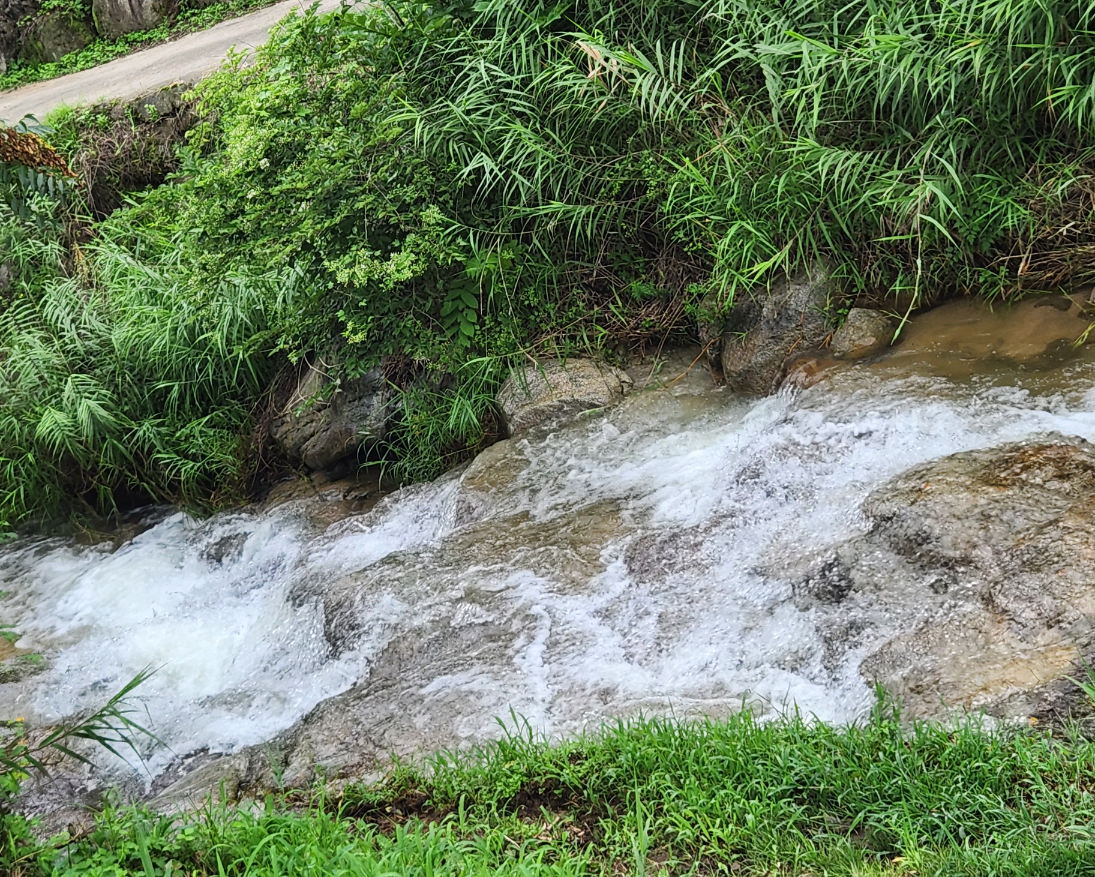 드루왈 애견캠핑장 계곡