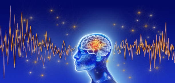 잠이 안 올 때 즉시 효과 있는 뇌·신경 진정법 8가지(뇌파·자율신경·멜라토닌을 동시에 안정시키는 과학적 기법)