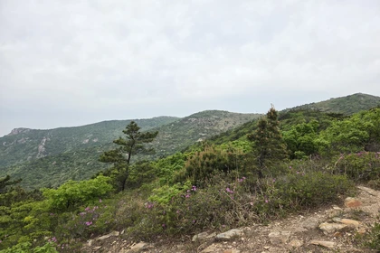 천관산 능선과 기암괴석 풍경6