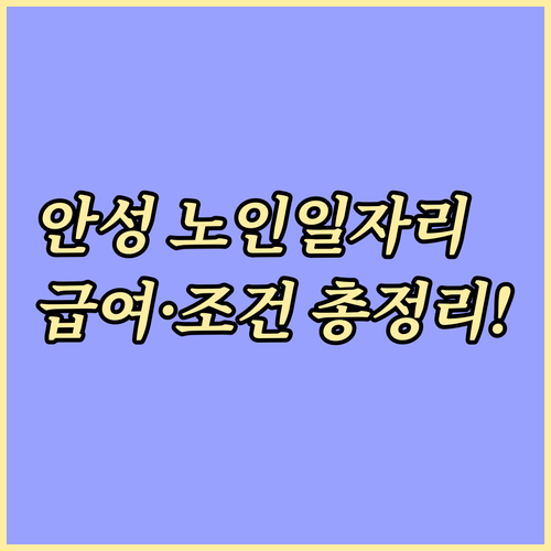 안성 노인일자리 유형별 자격 요건 및..