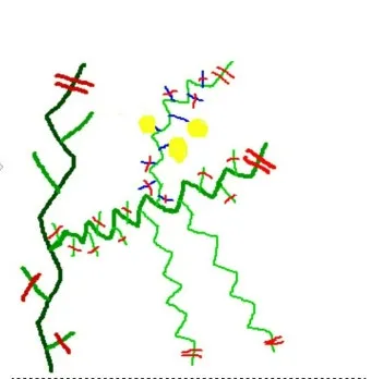 참외 순치기 순지르기 방법과 그림으로 쉽게 정리_6