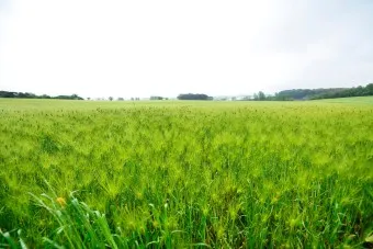 고창 맛집 베스트10 숨겨진 나만 아는 맛집_16