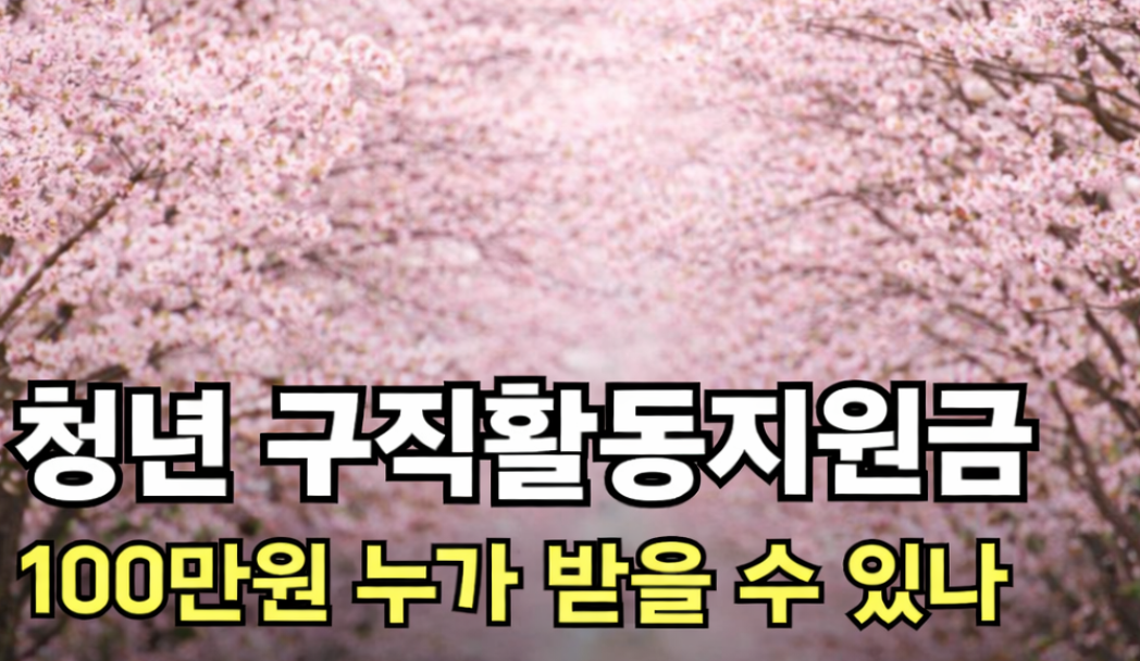 구직지원금