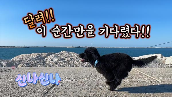 캡처한 결과 이미지