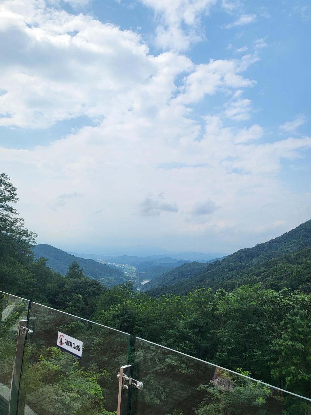 홍천 루지 체험장