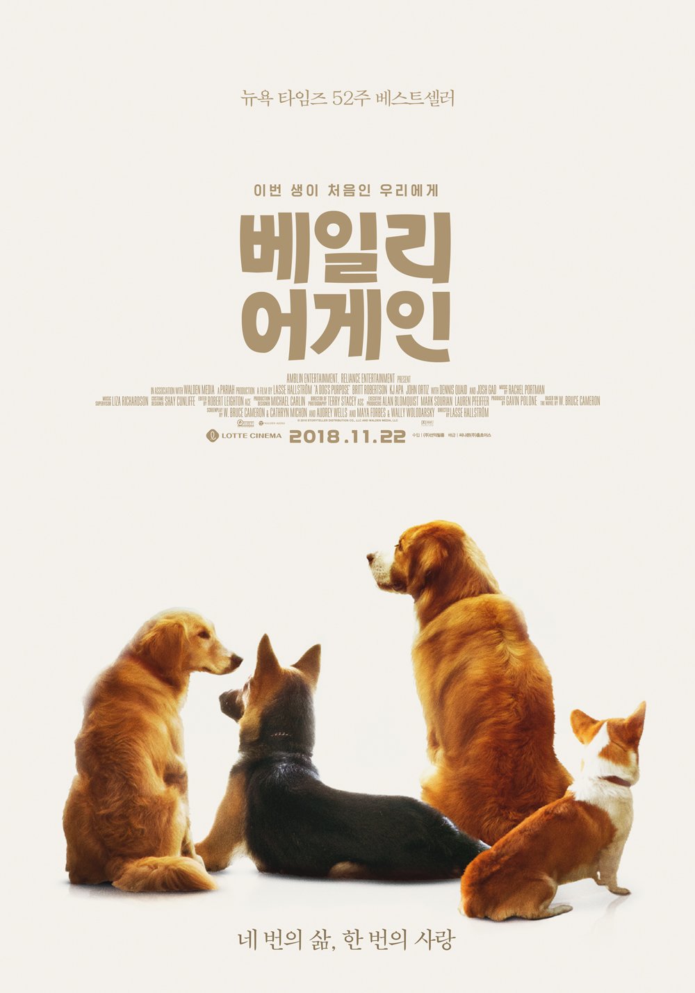 영화 주인공 베일리의 모습들이 나와있는 영화 포스터입니다.