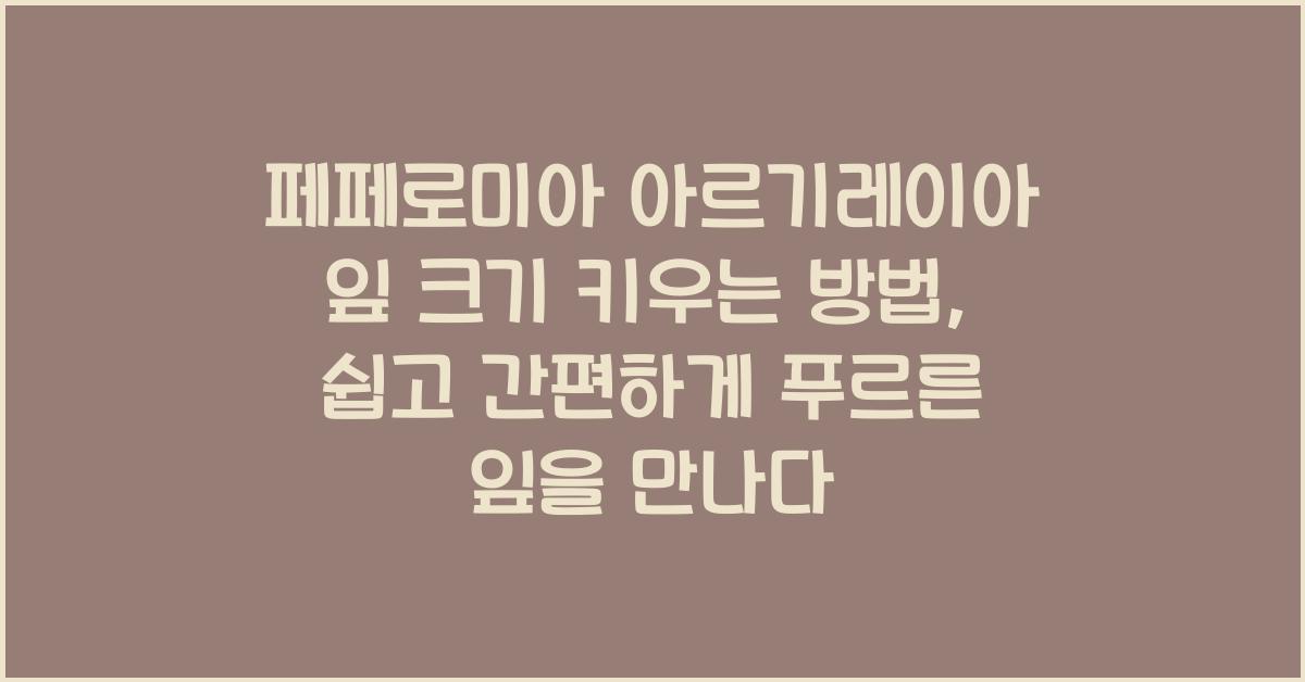 페페로미아 아르기레이아 잎 크기 키우는 방법