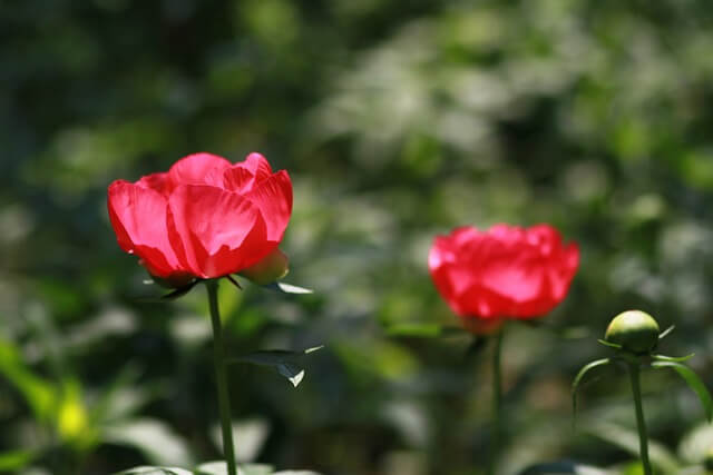 연애하는 꿈 해몽 모르는 사람과 연애 등 