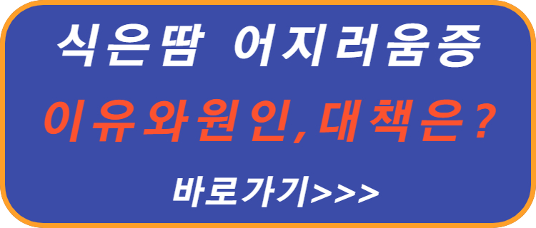 식은땀-어지러움증-이유-원인-대책