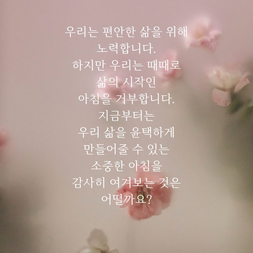 아침 인사로 좋은 글귀 이미지 문구 모음
