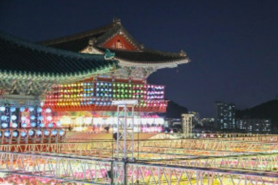 강아지와 함께 갈 만한 인근 명소