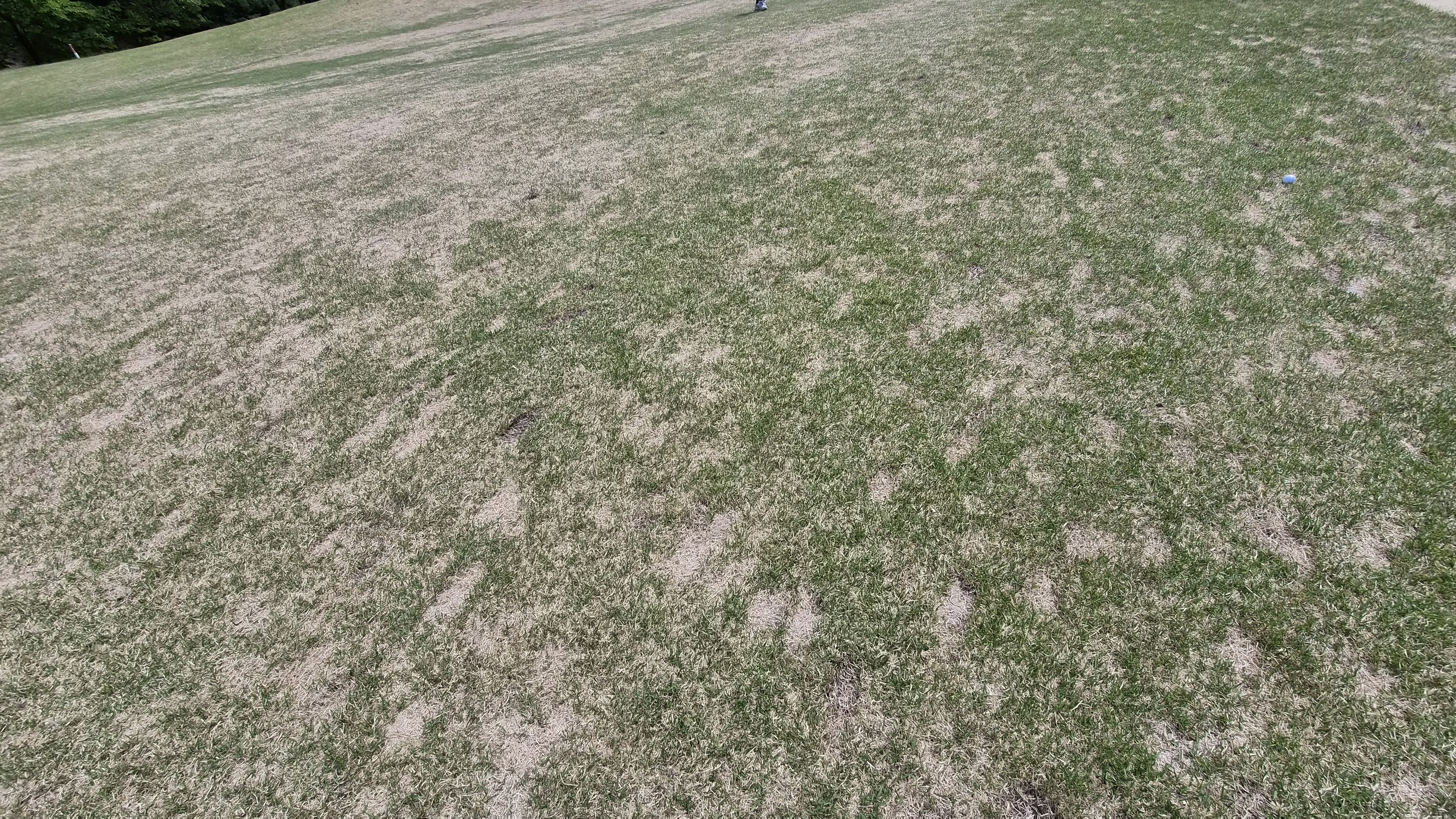 포웰cc 프린세스 라운드 후기