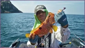 메탈지그 운용 삼치 회유 타이밍 포인트와 릴링 속도 조절_2