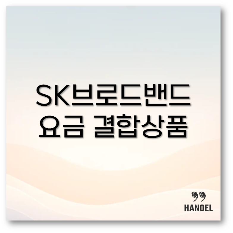SK브로드밴드