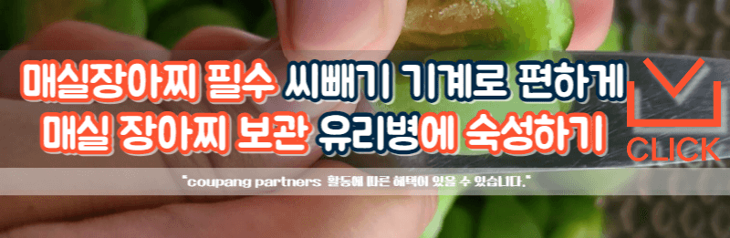 매실씨빼는 기계
매실장아찌 만드는 법
매실장아찌 담그는 법