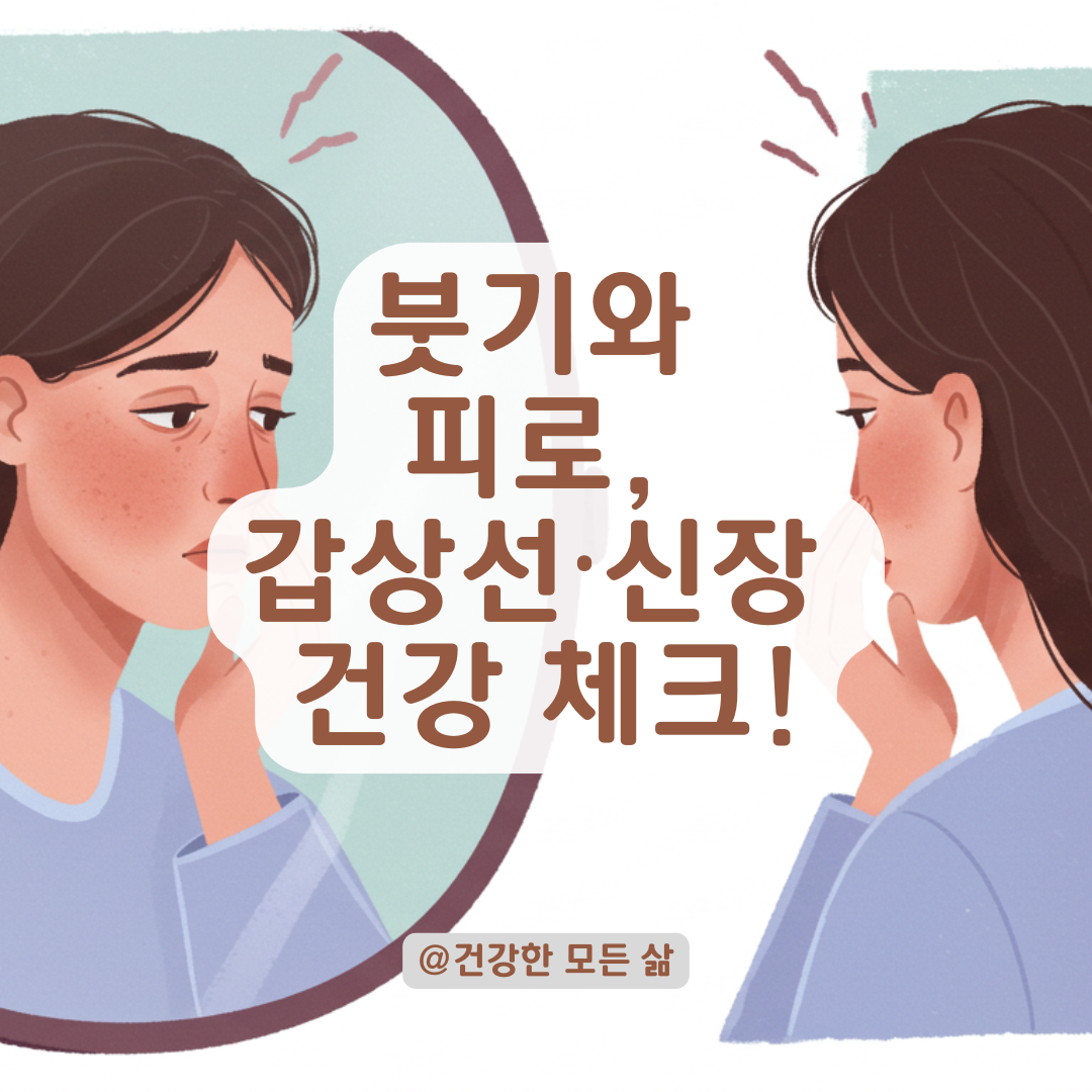아침마다 붓는 얼굴과 피로감, 갑상선·신장 이상 신호일 수 있습니다.