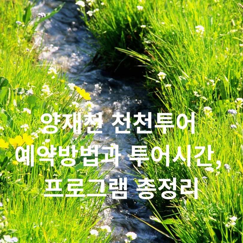 양재천 천천투어