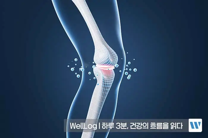 콘드로이친 효능, 복용법, 주의사항