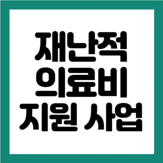 재난적 의료비 지원 사업
