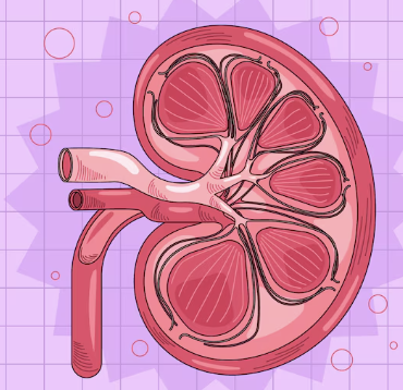 단백뇨의 원인 29
