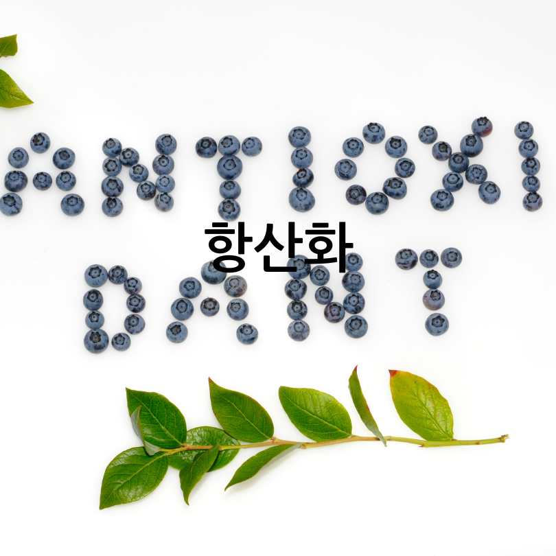 노인 영양제 추천