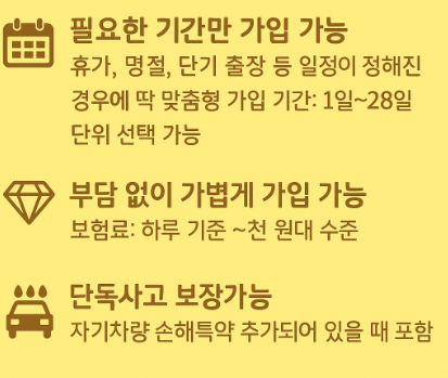 단기운전자보험