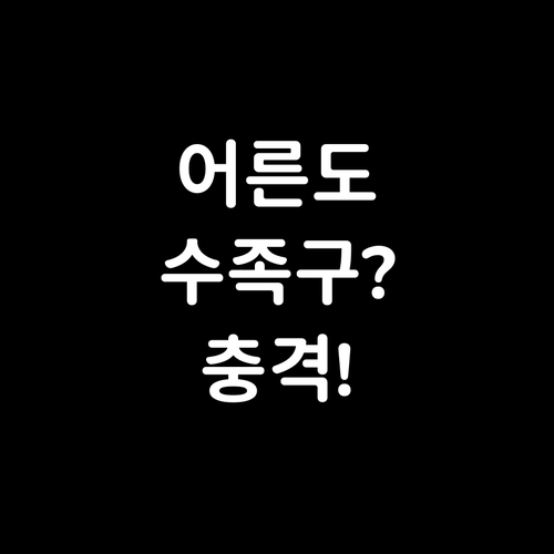 어른 수족구 증상과 예방법 총정리..