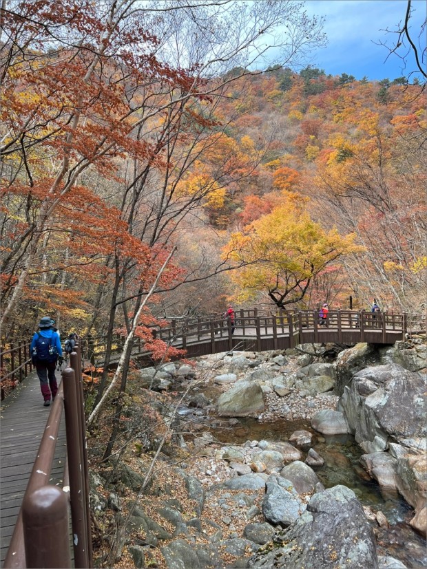 지리산 단풍시기