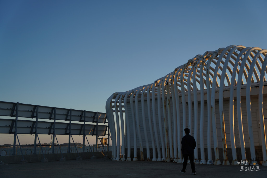 안산 탄도항 누에섬