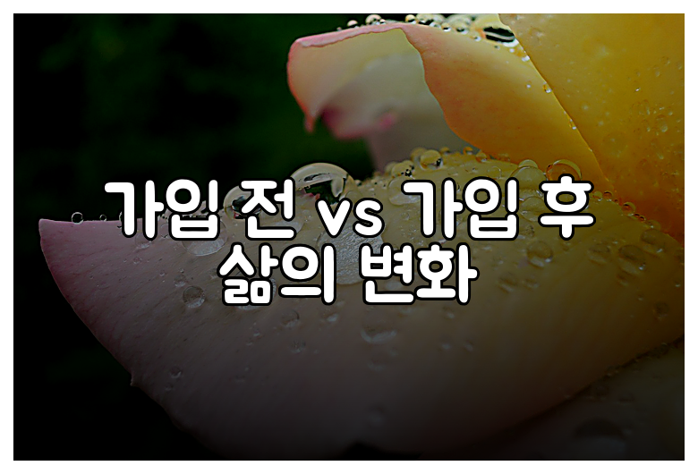 가입 전 vs 가입 후 삶의 변화