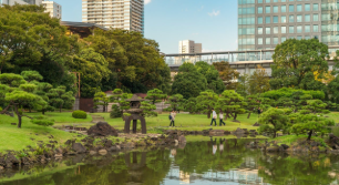 도심 수목과 녹지의 공기 질 개선 효과