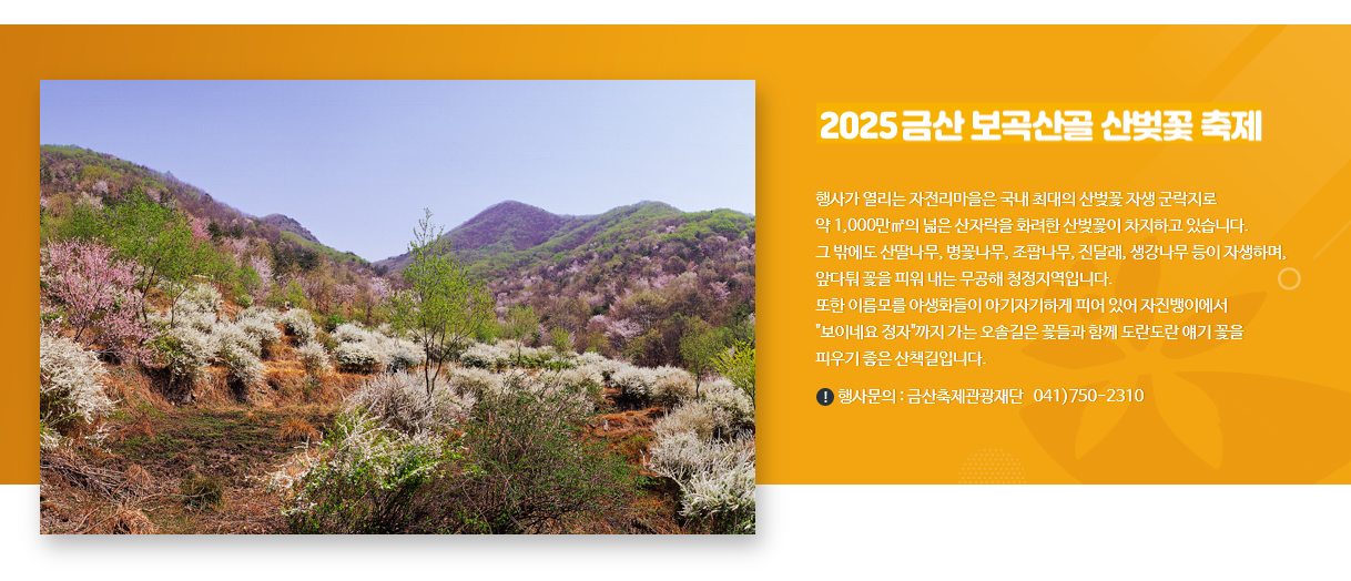 2025 전국 꽃 축제 일정 &ndash; 매화, 산수유, 벚꽃, 유채꽃, 철쭉, 장미까지!