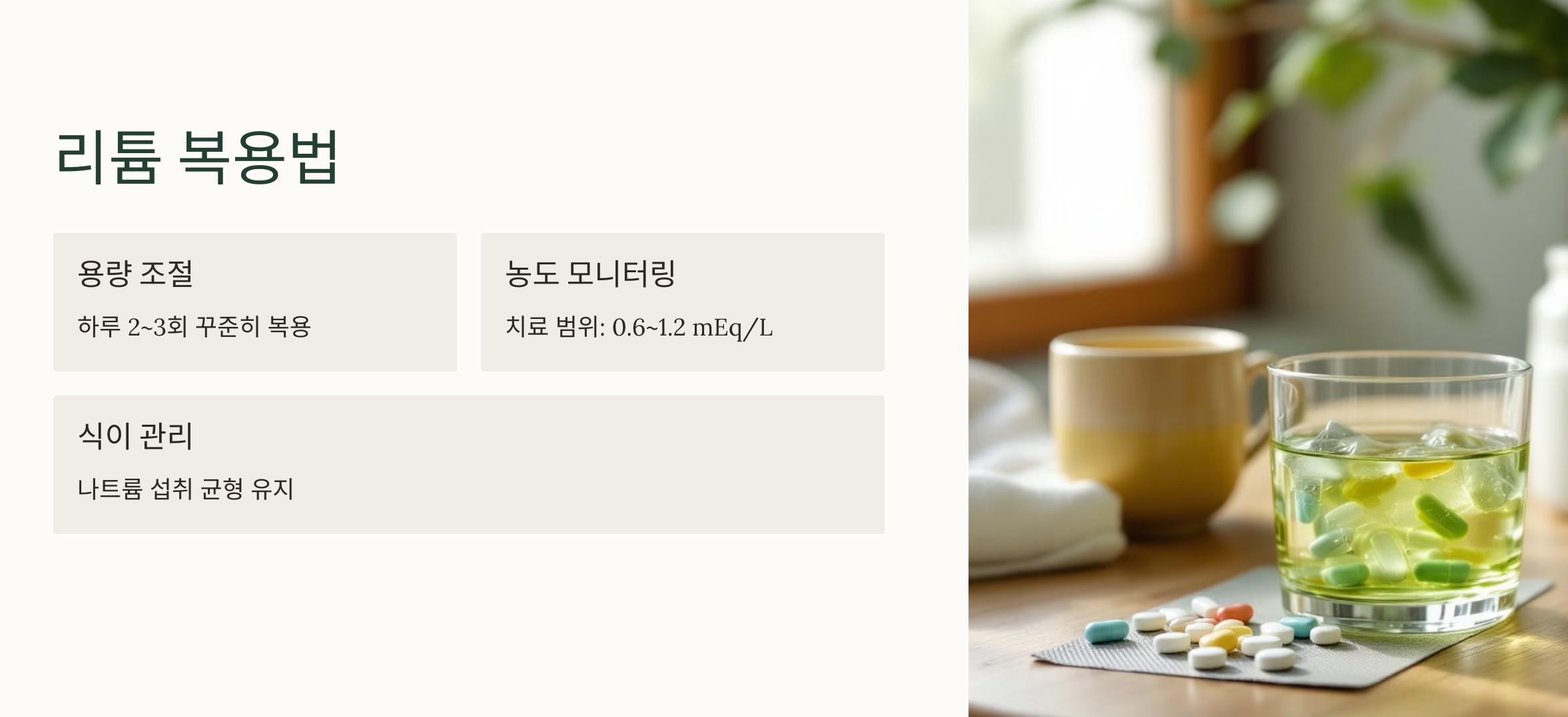 리튬 복용법 및 주의사항