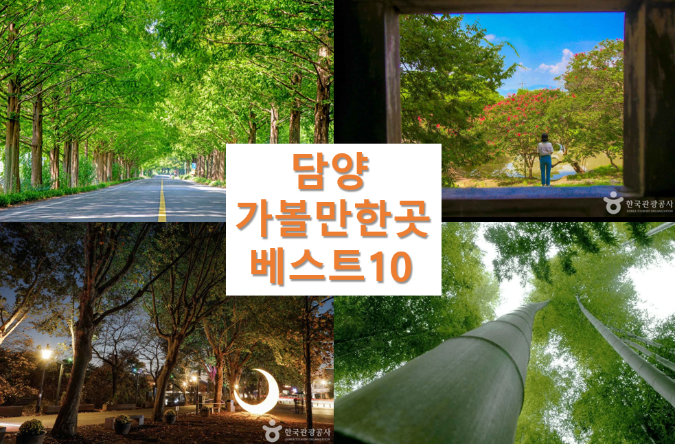 담양 가볼만한 곳 베스트10