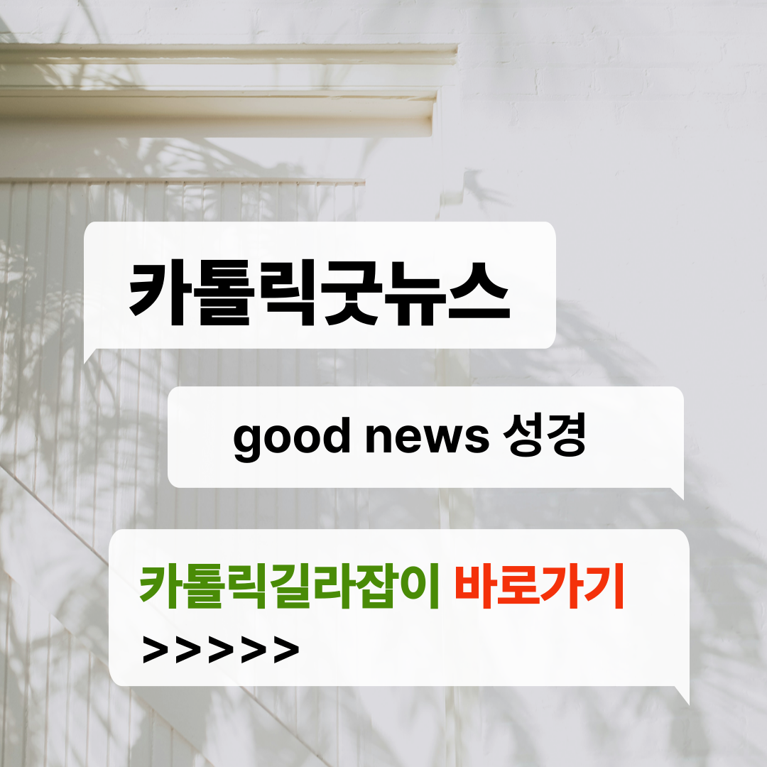 카톨릭굿뉴스 홈페이지 바로가기